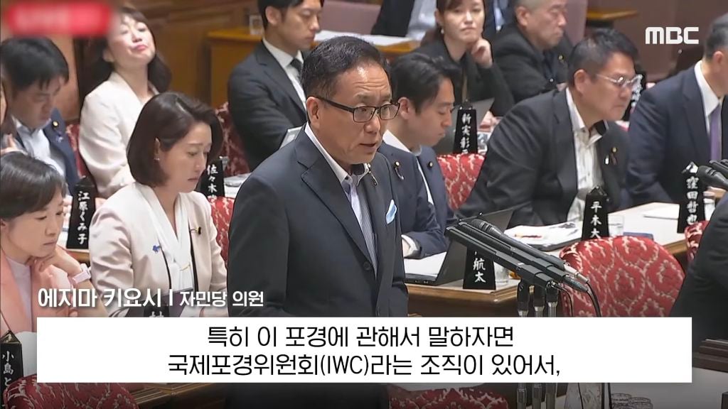 본인 나라의 여성 총리에게 대정부 질문 자리에서 생선 요리 할 줄 아냐고 물어보는 일본