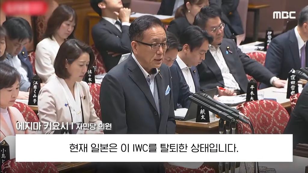 본인 나라의 여성 총리에게 대정부 질문 자리에서 생선 요리 할 줄 아냐고 물어보는 일본