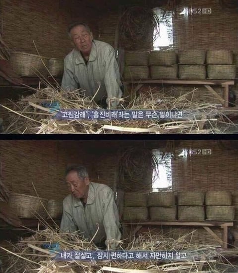 다큐 3일 레전드 모음