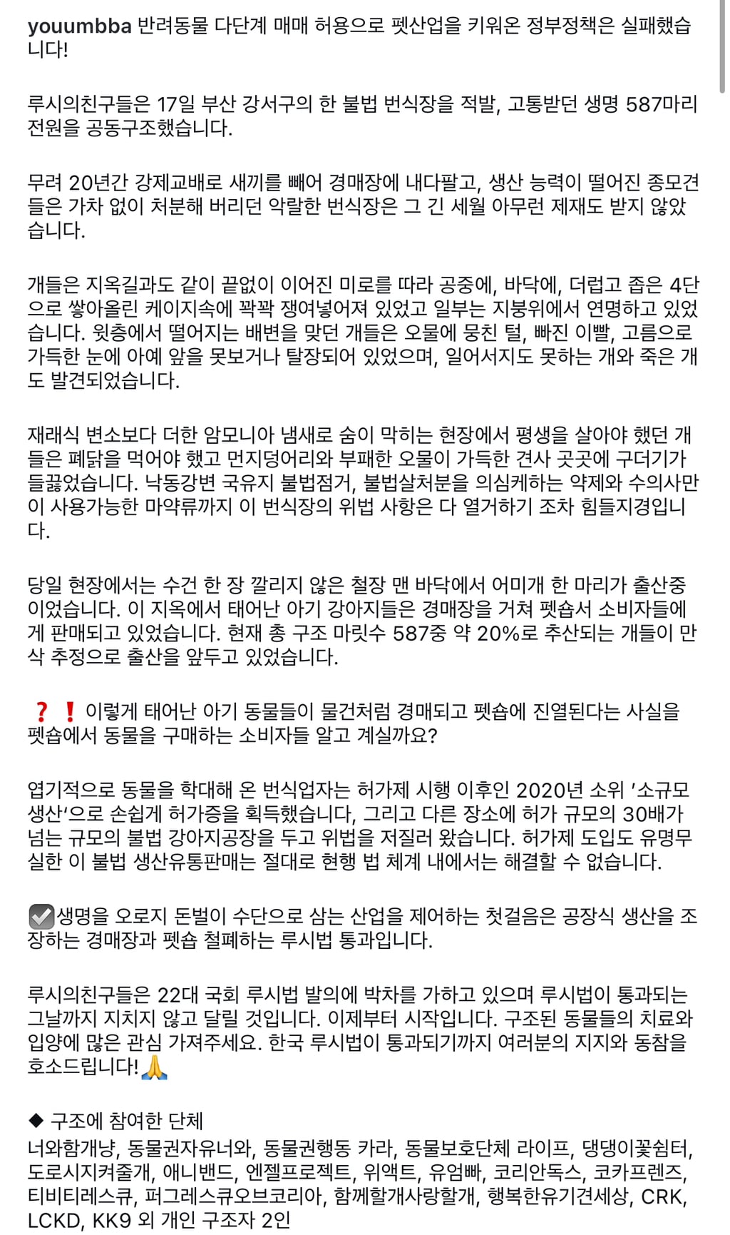 깨끗한 바람도 햇살도 사람의 다정한 손길도 처음 느끼는 강아지들