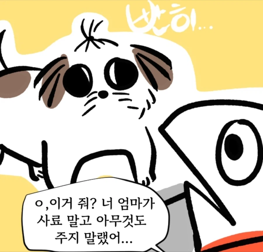 시츄는 얼마나 착한가 알아보는 만화