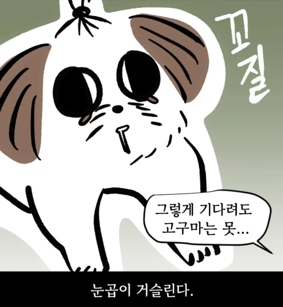 시츄는 얼마나 착한가 알아보는 만화