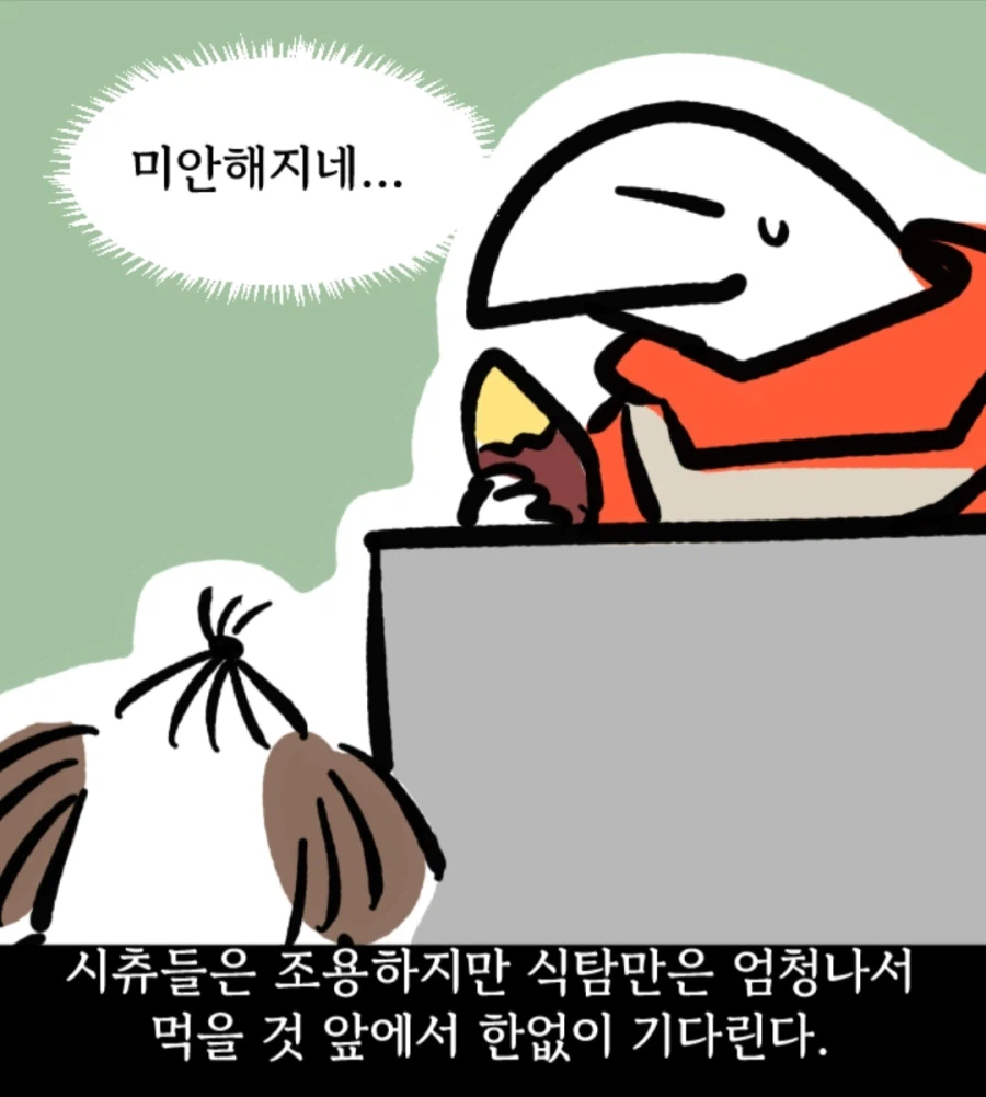 시츄는 얼마나 착한가 알아보는 만화