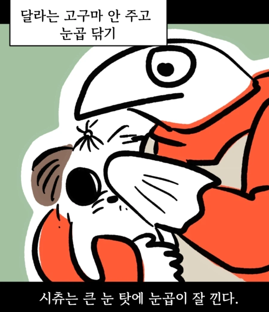 시츄는 얼마나 착한가 알아보는 만화
