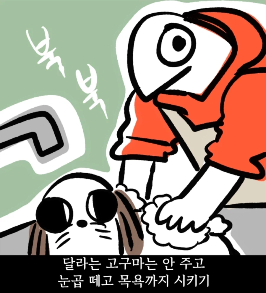 시츄는 얼마나 착한가 알아보는 만화