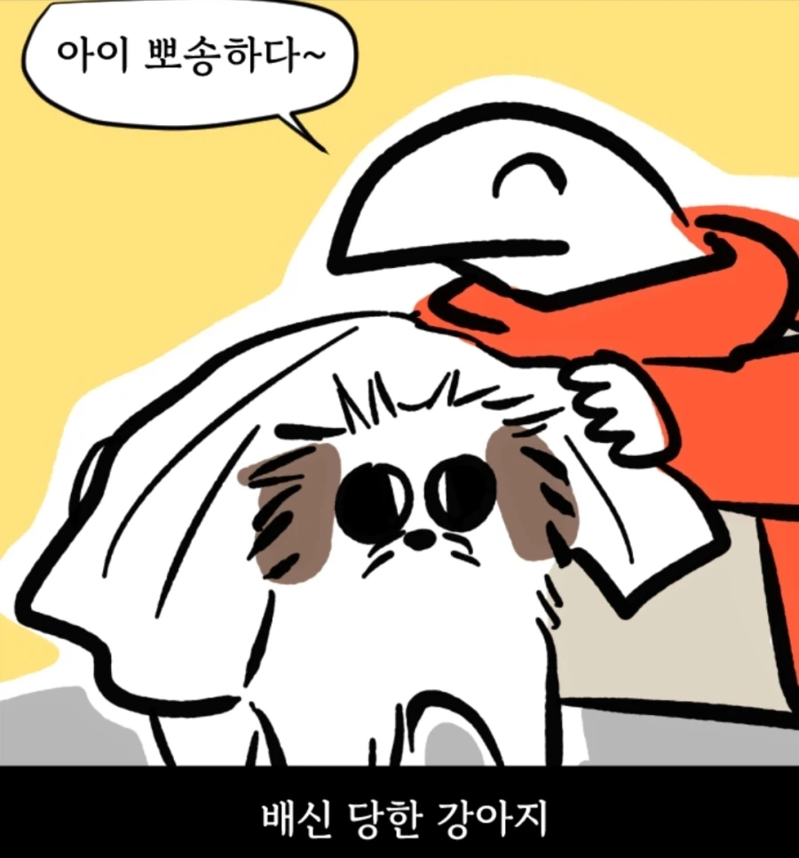 시츄는 얼마나 착한가 알아보는 만화