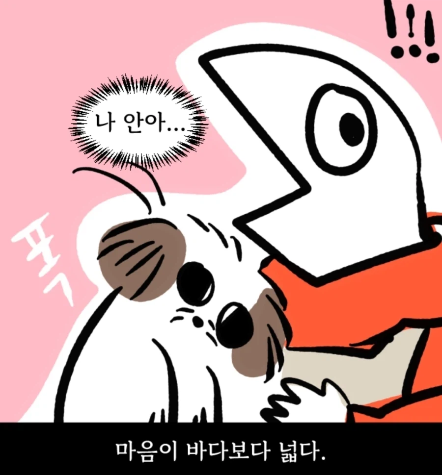 시츄는 얼마나 착한가 알아보는 만화