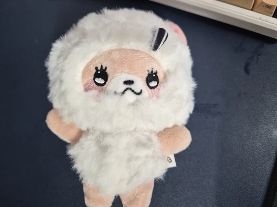 리센느) 리뿌 인형 왔다 ㅋㅋㅋㅋ