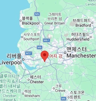 웨인 루니 근황
