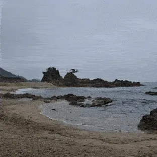 울진 동해안 입니다