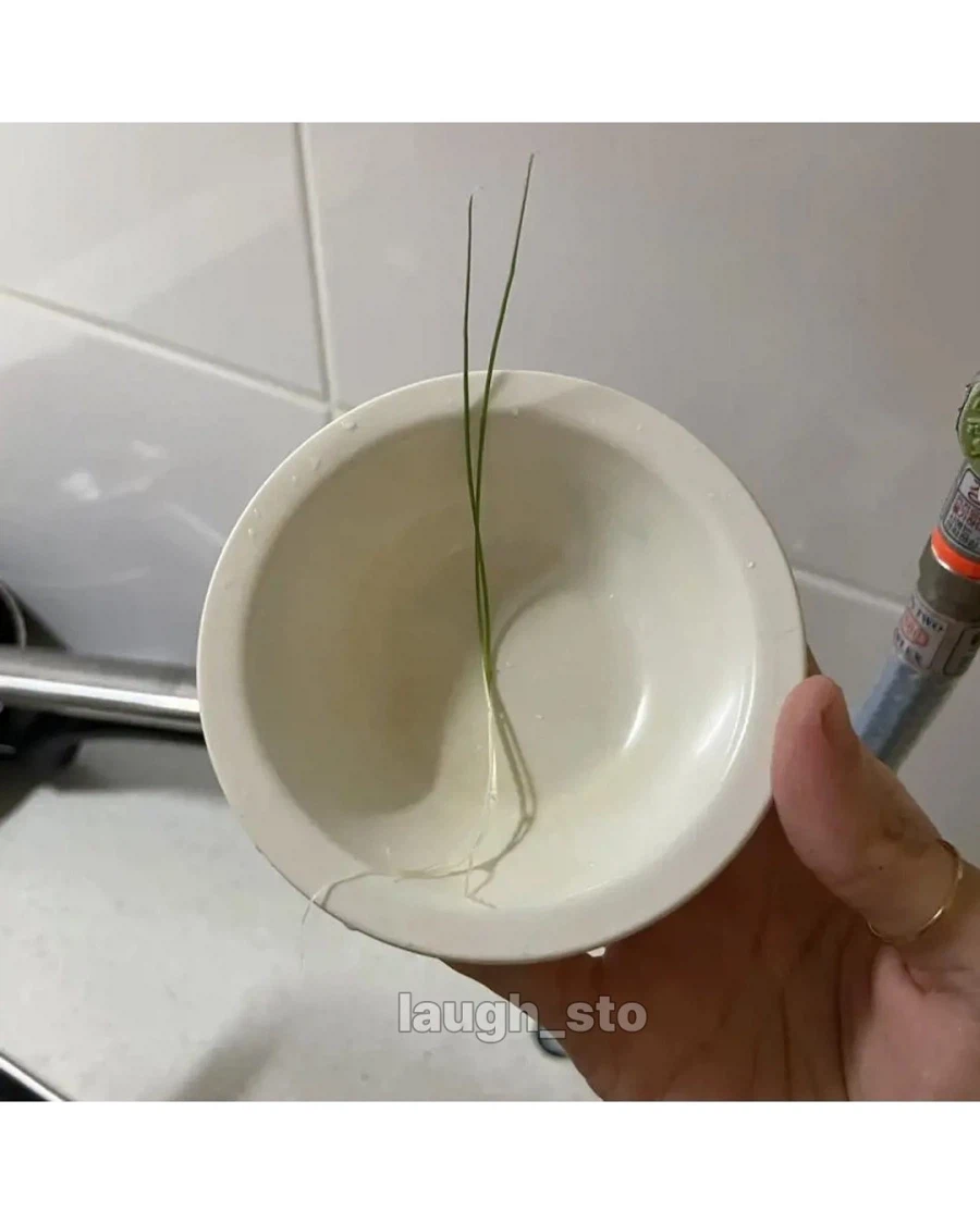 직접기른 대파로 만든 떡볶이