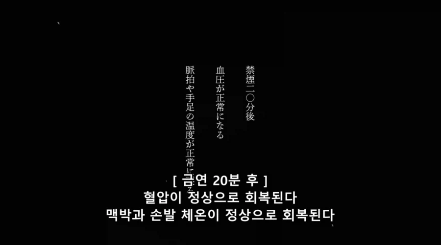 담배고양이) 어이! 56번! 어디 갔어!!