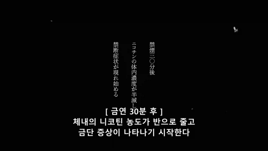 담배고양이) 어이! 56번! 어디 갔어!!
