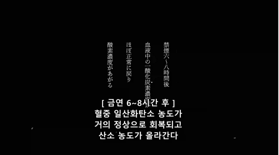 담배고양이) 어이! 56번! 어디 갔어!!