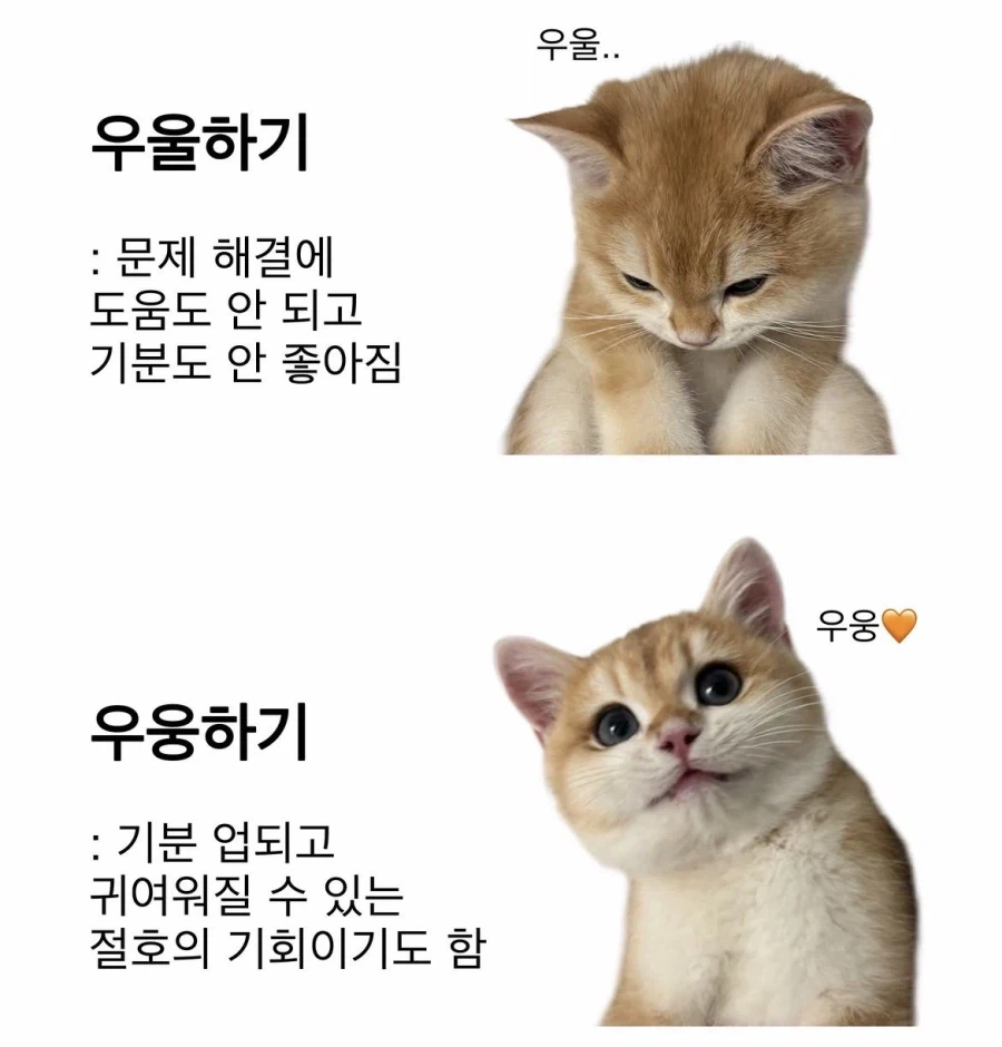 블루아카) 우울하기 vs 우웅하기 .grim