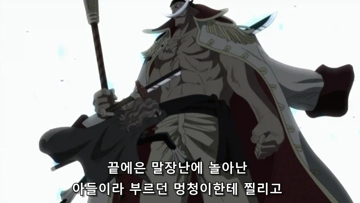 원피스] 흰수염은 지난 시대의... 패배자니께!