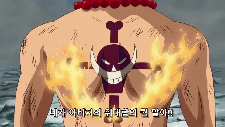 원피스] 흰수염은 지난 시대의... 패배자니께!