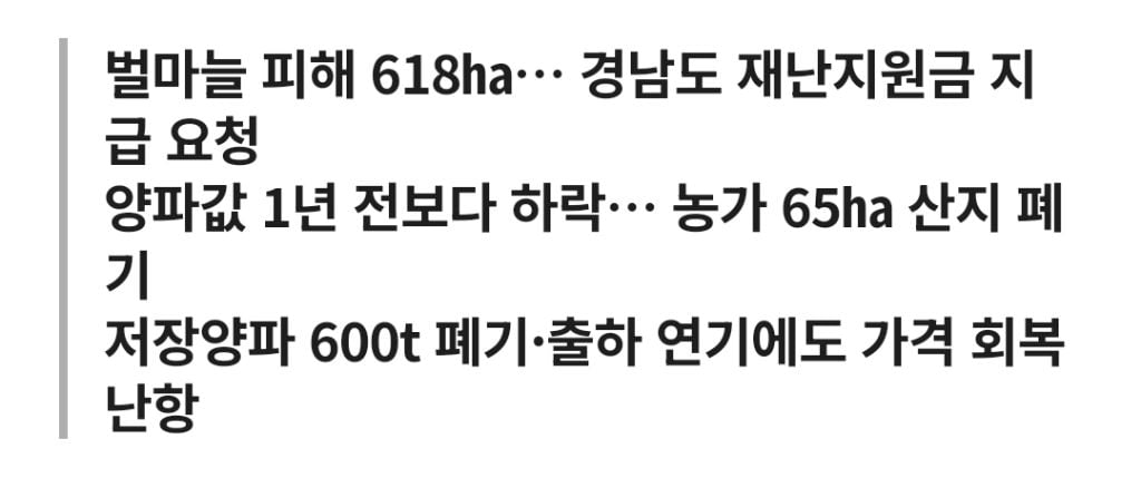 마늘은 녹고 양파는 갈아엎고… 경남 농가 덮친 '이상기후·공급과잉' 이중고