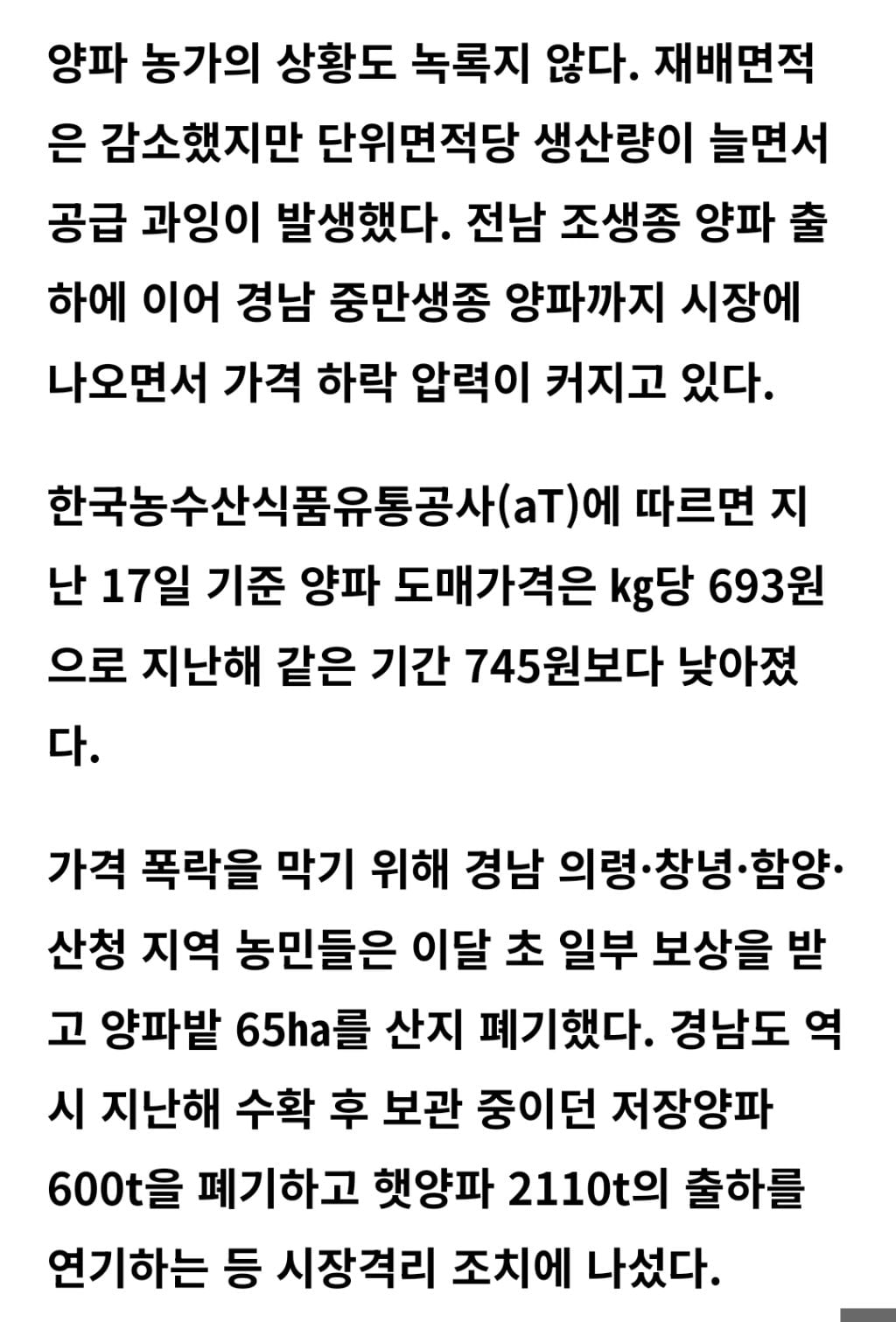 마늘은 녹고 양파는 갈아엎고… 경남 농가 덮친 '이상기후·공급과잉' 이중고