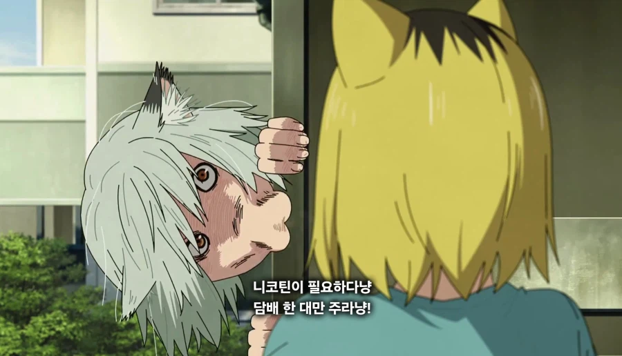 담배고양이) 이거 담배 맞냥?
