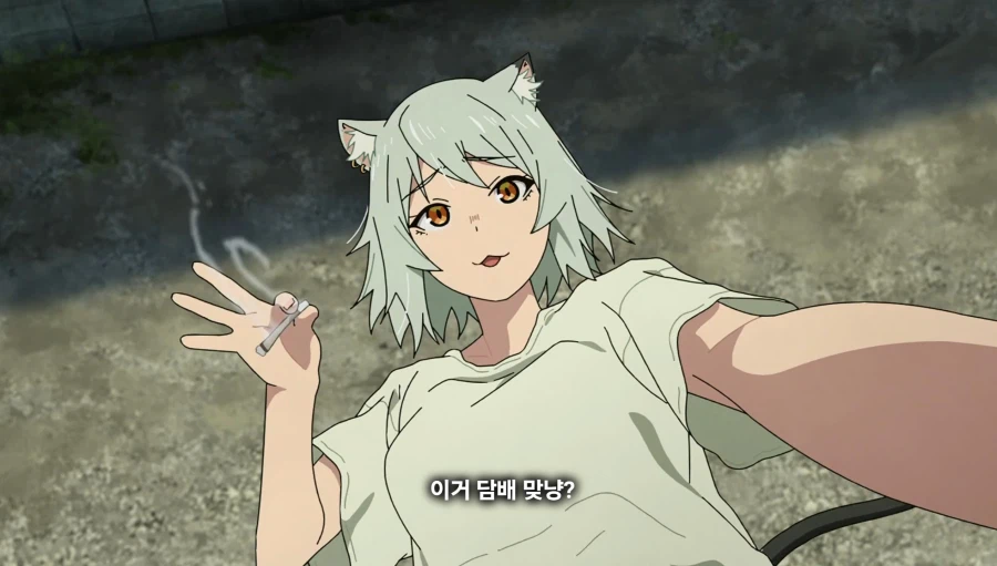 담배고양이) 이거 담배 맞냥?