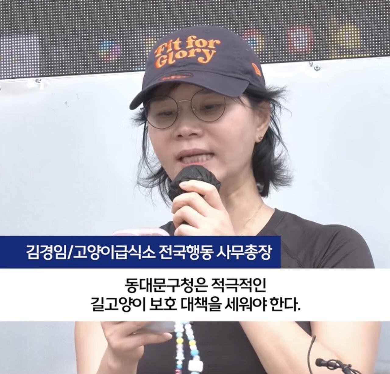 동대문 캣맘들