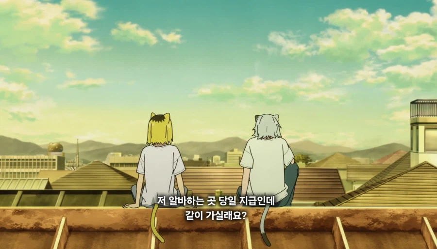 담배고양이) 선배를 존경했던 후배