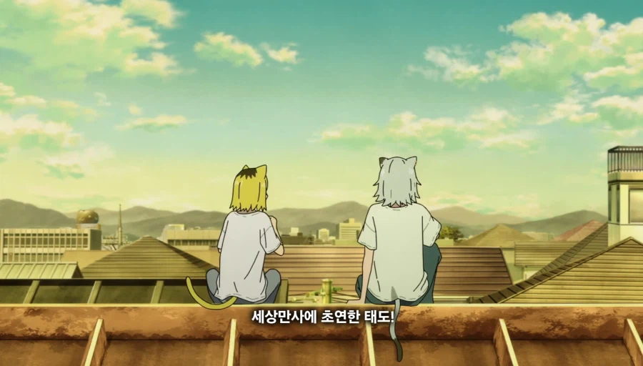 담배고양이) 선배를 존경했던 후배
