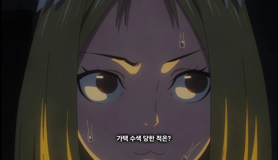 담배고양이) 너,가택수색 당한적은?