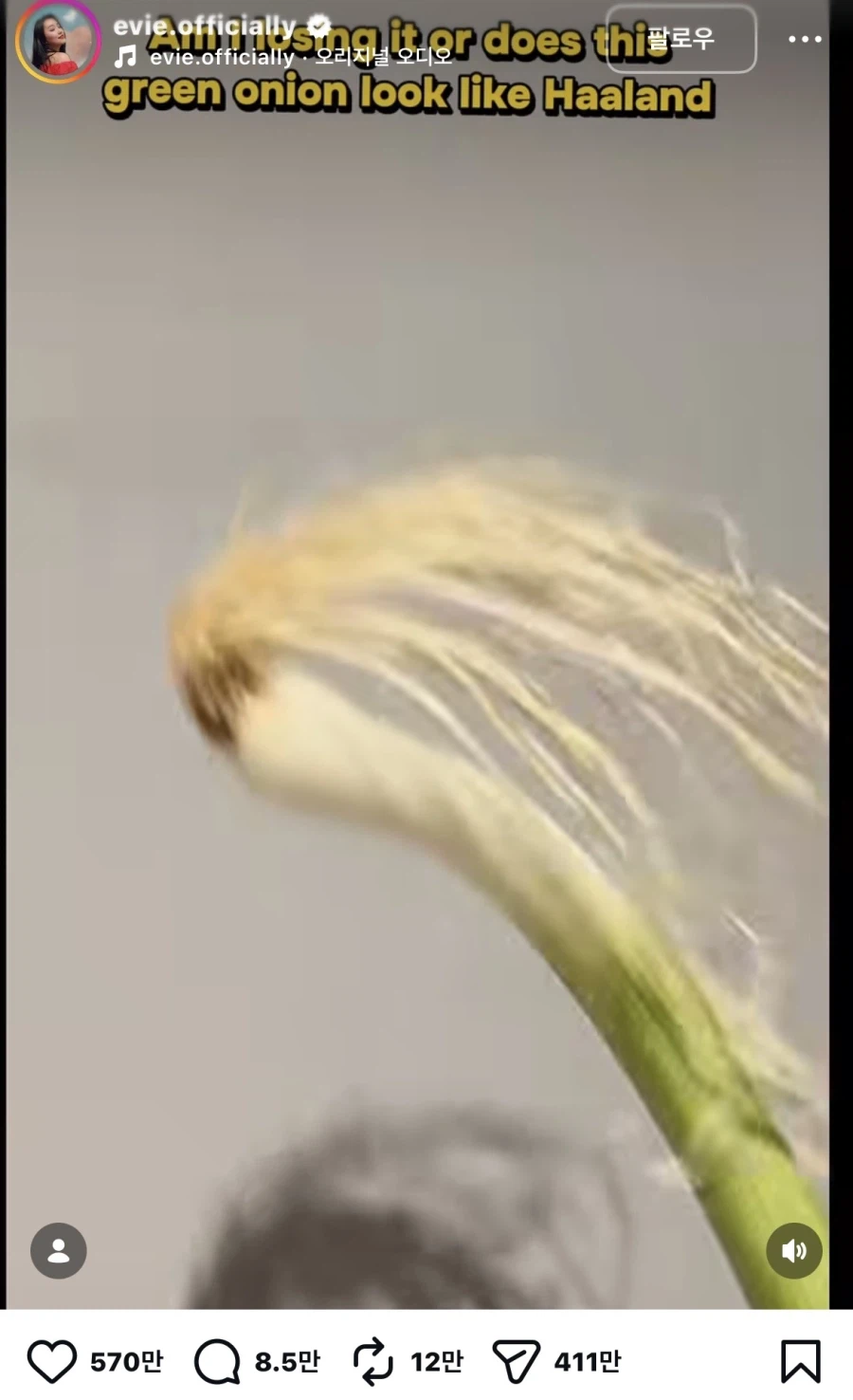 ?? : 홀란드 사람같이 안생김
