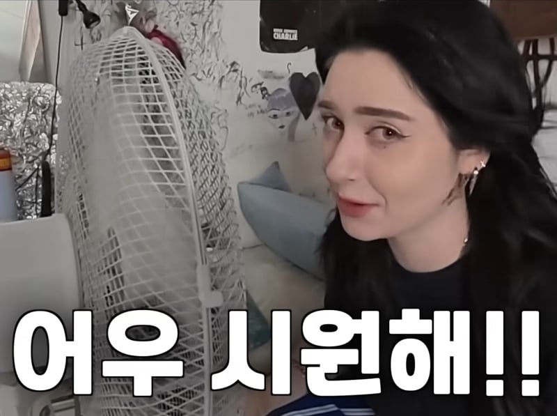 에어컨 없는 프랑스에 분노하는 프랑스인