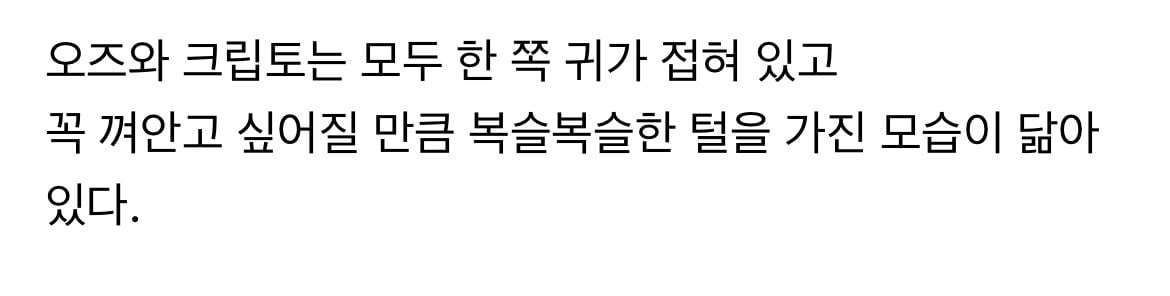 슈퍼맨 영화에 나오는 초능력 외계 강아지 크립토의 실제 모델