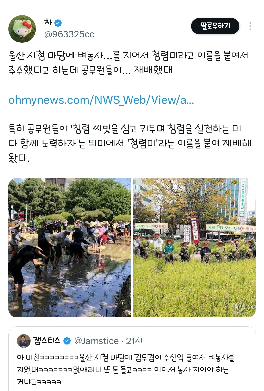 울산 시청 마당에 김두겸 전 시장이 수십억 들여서 벼농사를 지었대.twt