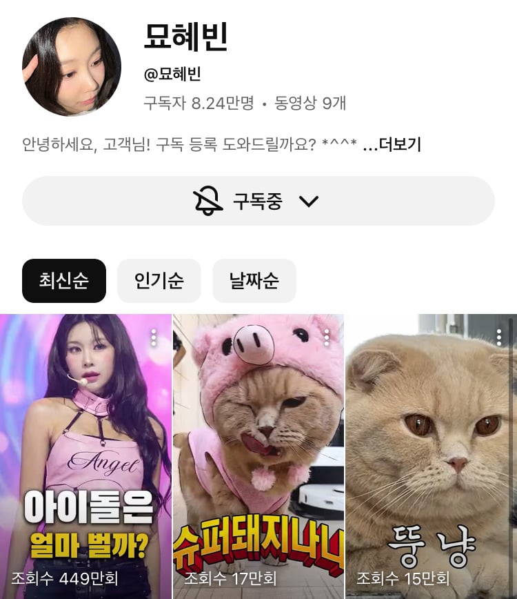 일 없거나 활동종료한 아이돌들 유튜브 많이한다