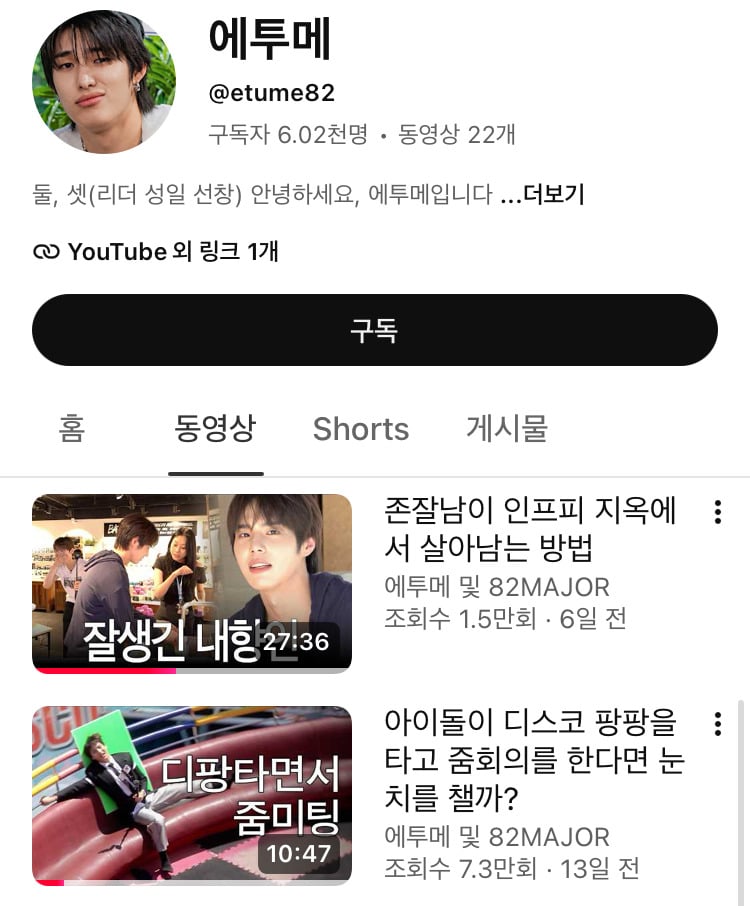 일 없거나 활동종료한 아이돌들 유튜브 많이한다