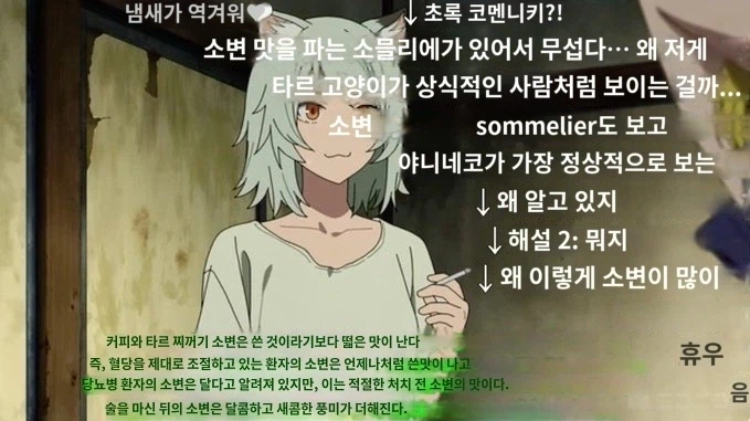 담배고양이)니코동 자막탄막 꼬라지 ㅋㅋ