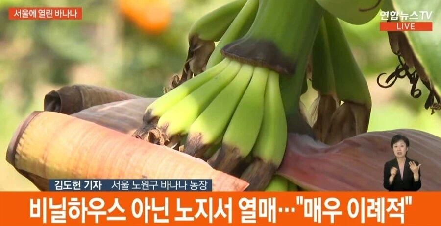서울 날씨 근황.jpg
