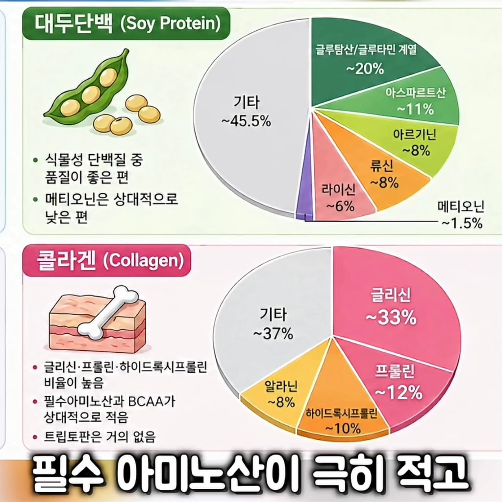 대한민국 단백질 음료 시장의 대국민 사기극 실태(프로틴 음료, 쉐이크)