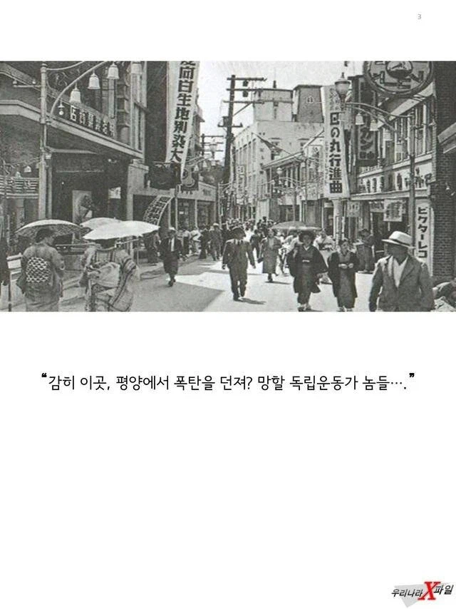 임신한 상태에도 애국을 한 독립운동가