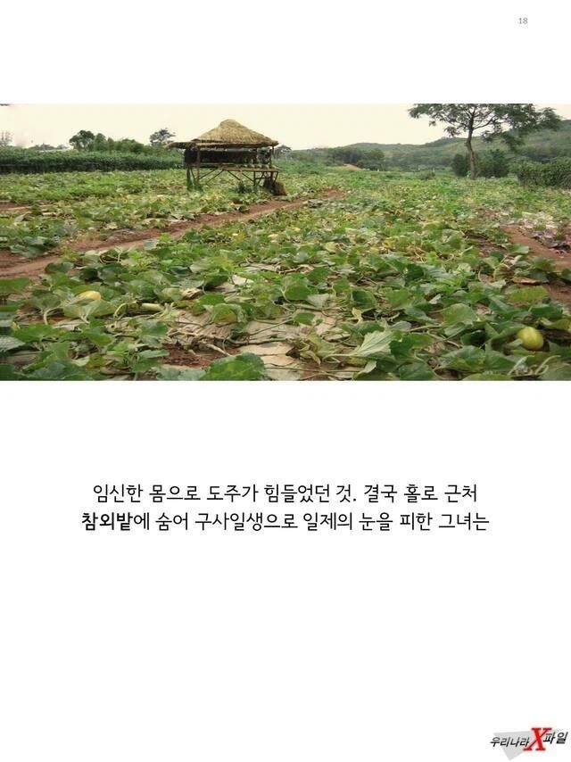 임신한 상태에도 애국을 한 독립운동가