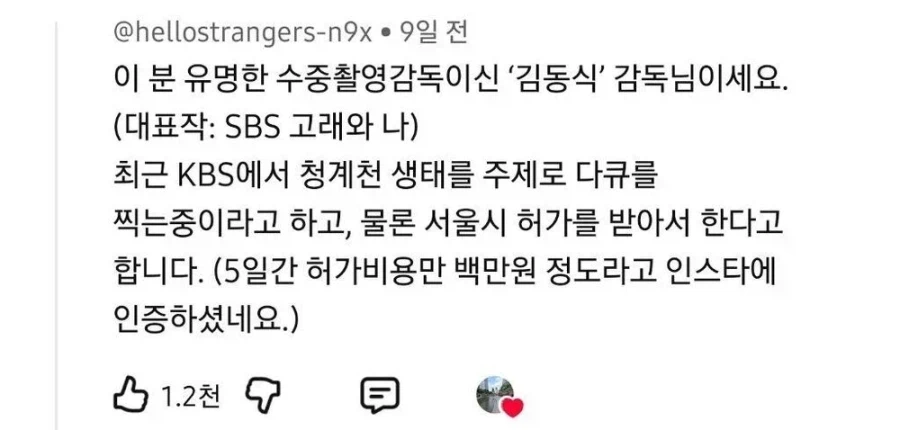 청계천에서 발견된 의문의... .gif