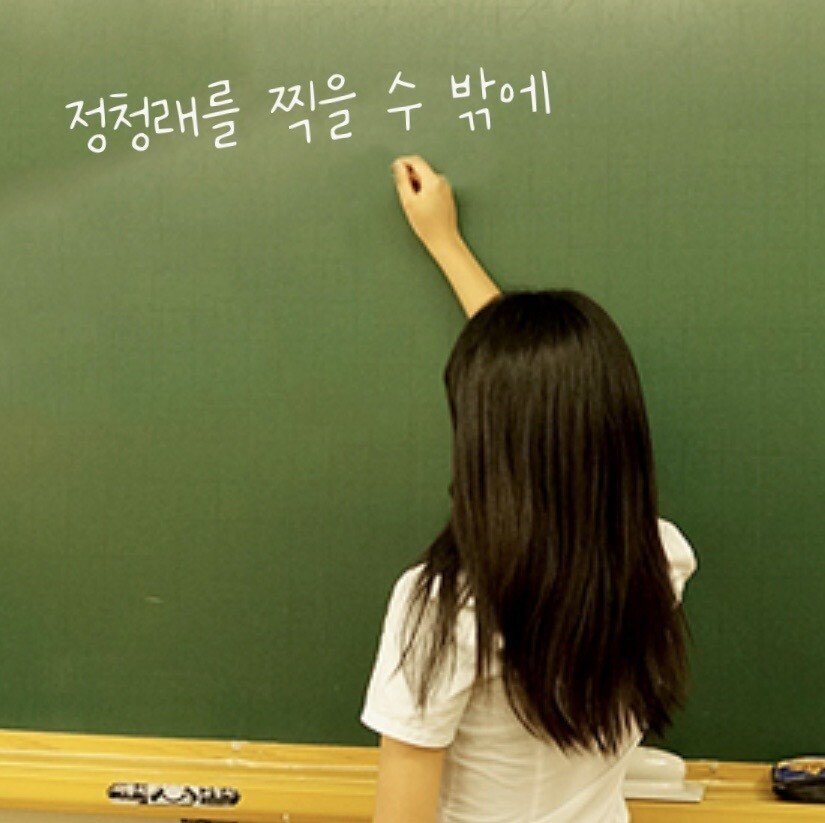 정청래 당대포 발사!!