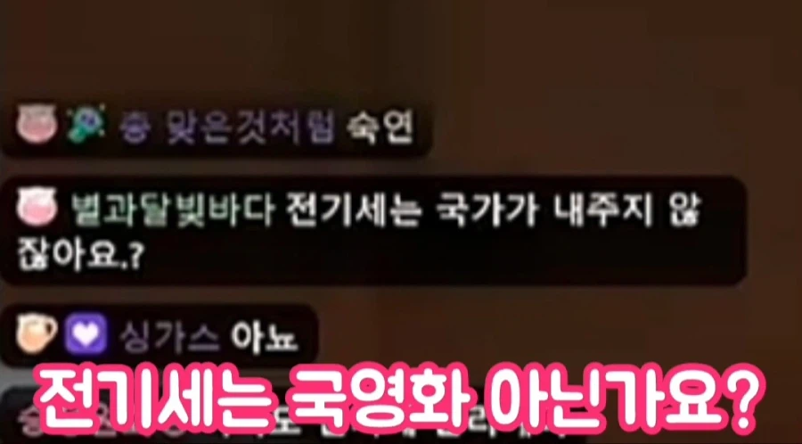 자기는 전기세 최소 40만원 쓴다는 여성 방송인