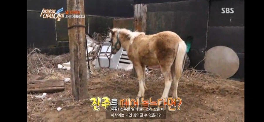 사랑하지만 이루어질 수 없는 두 말