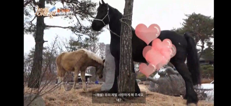 사랑하지만 이루어질 수 없는 두 말