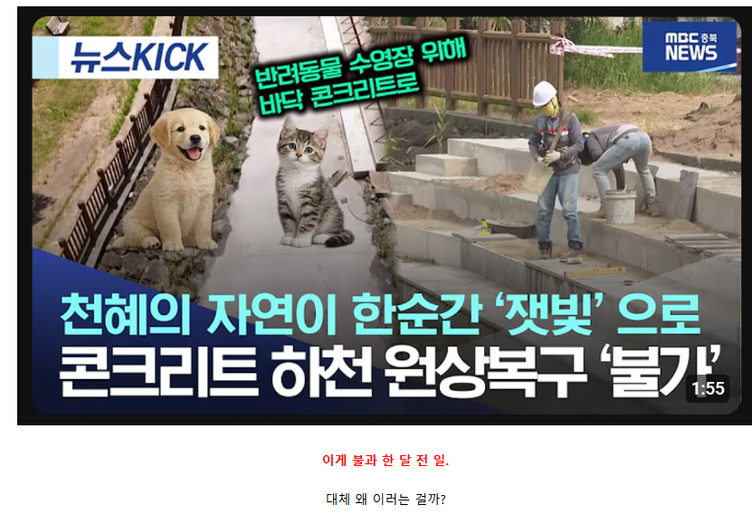 또 문화유산을 파괴해버린 제주도 근황