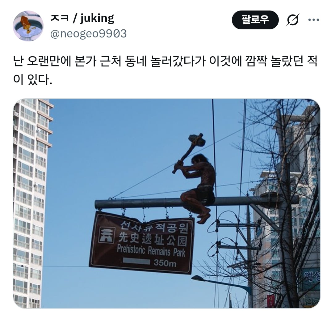 대구 명물 모음