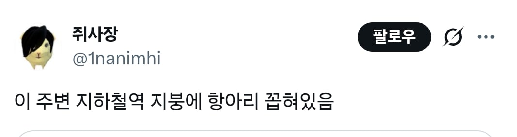 대구 명물 모음