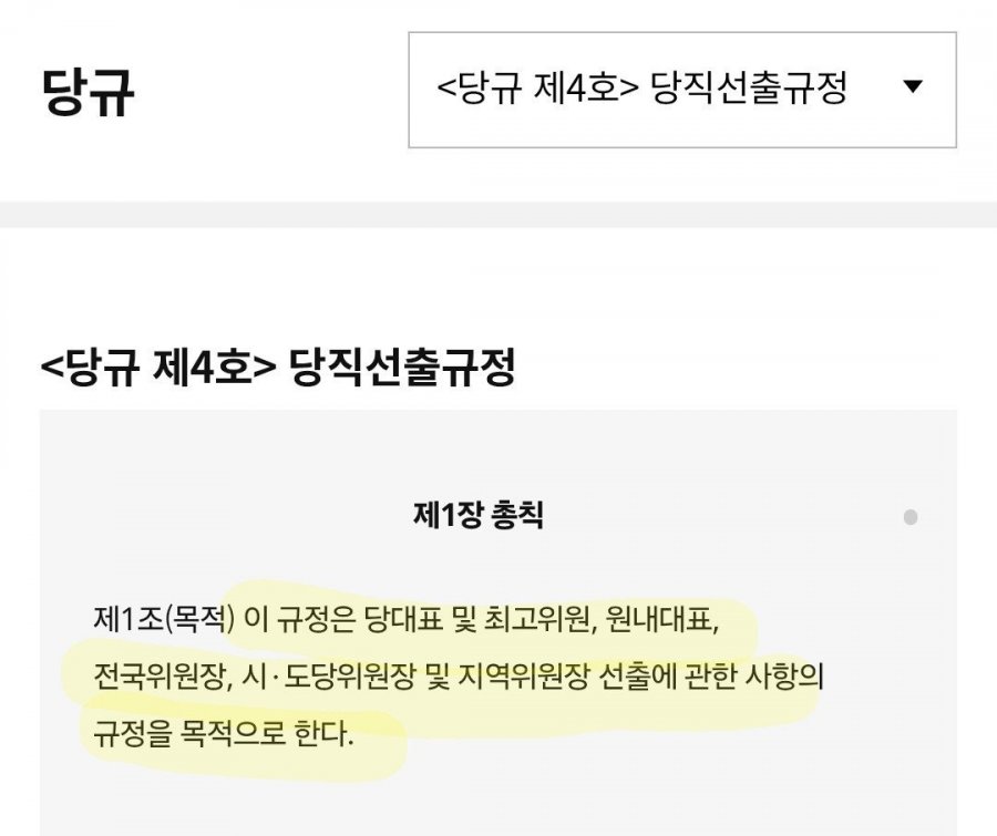 민주당  당직선출규정 중 선호투표 근거(당대표 포함)와 사례