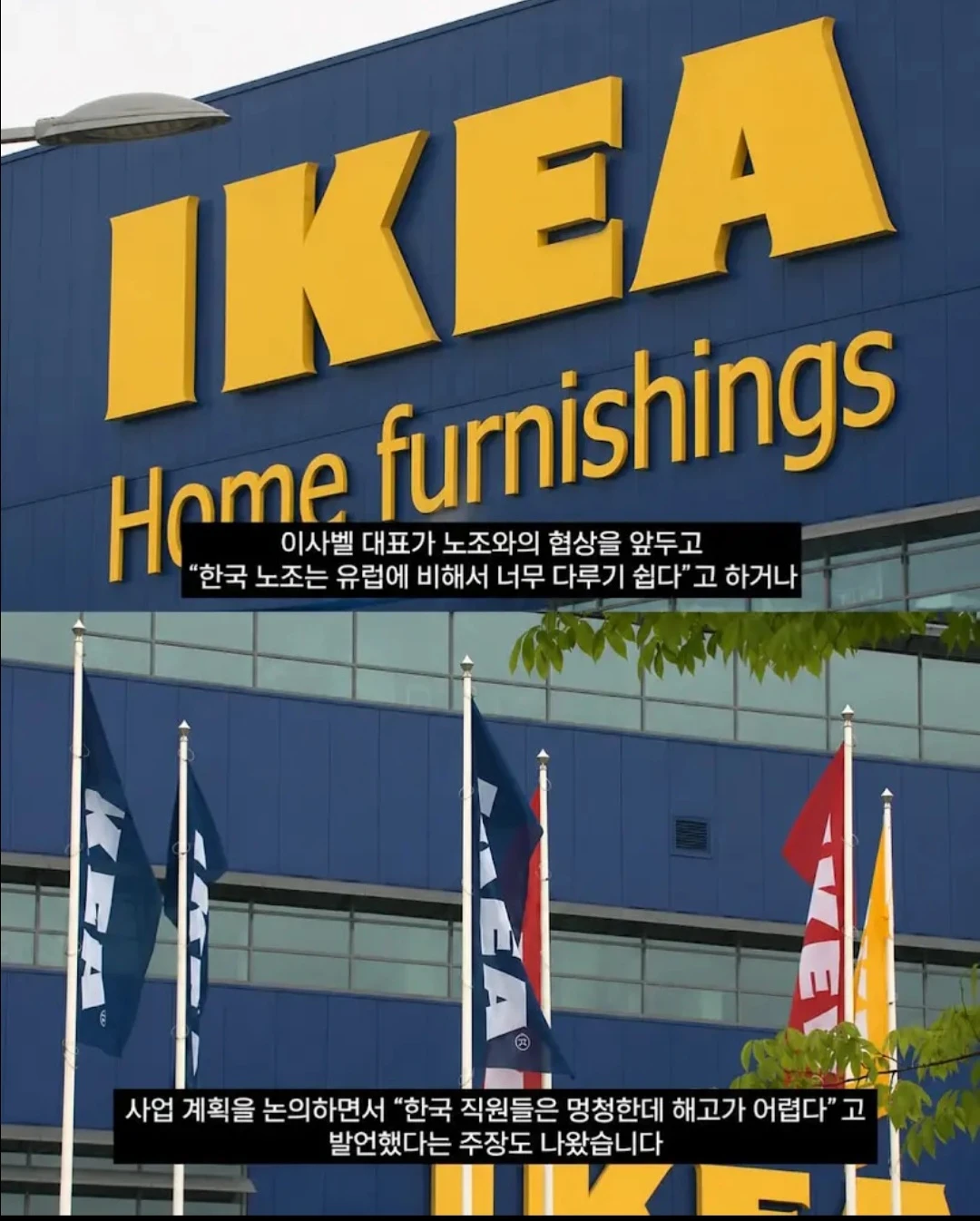 💥이케아 대표